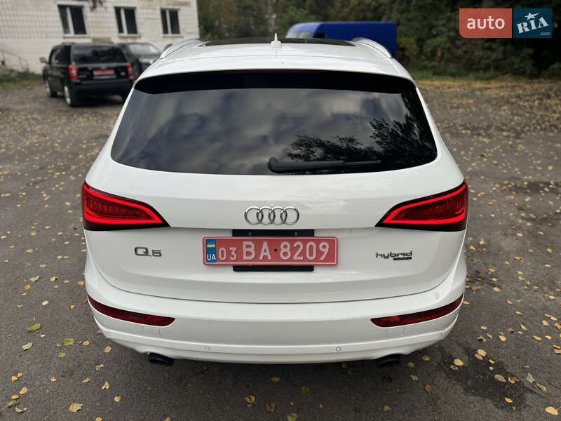Внедорожник / Кроссовер Audi Q5 2012 в Дубно фото 17 Внедорожник / Кроссовер Audi Q5 2012 в Дубно