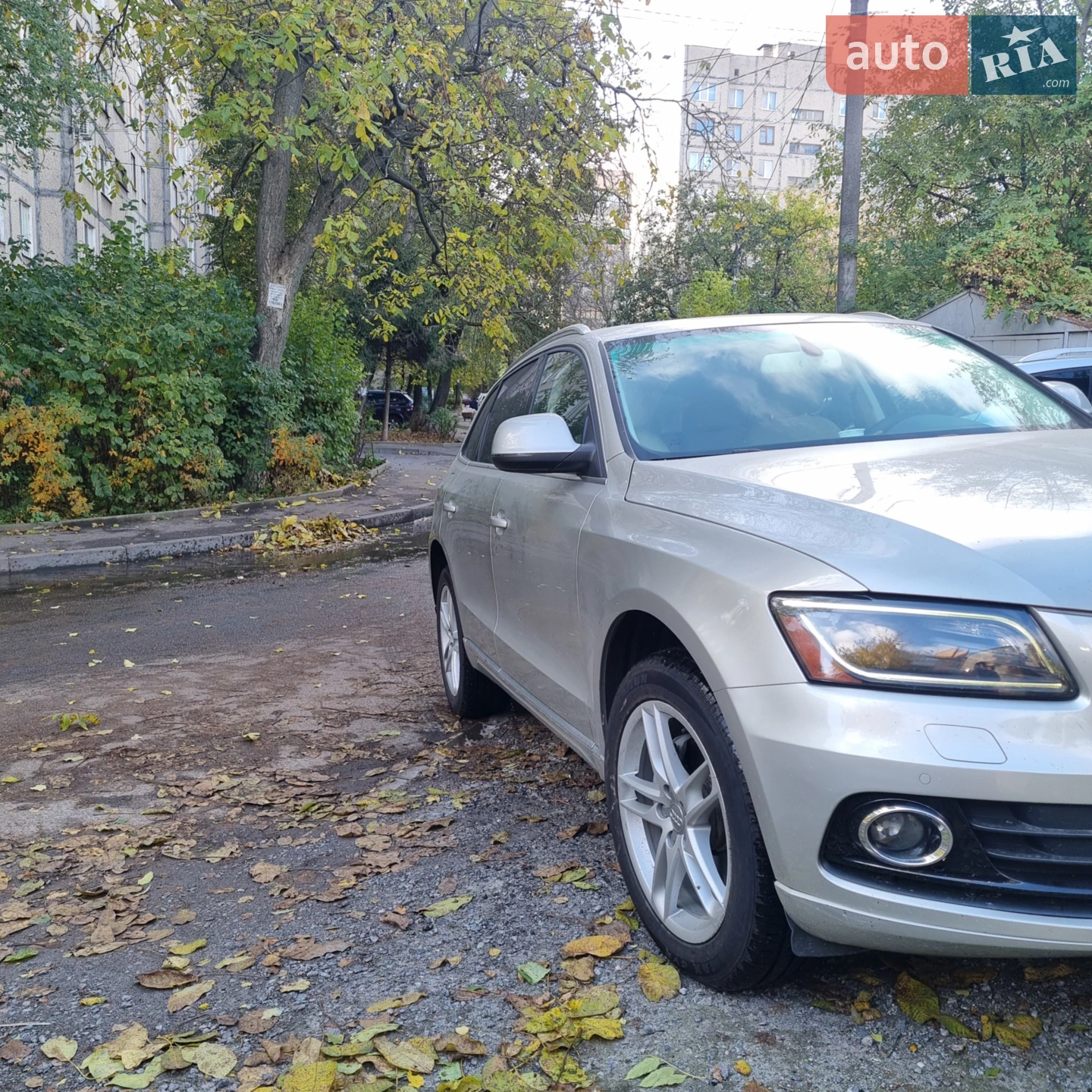 2013 Audi Q5 - мініатюра 7