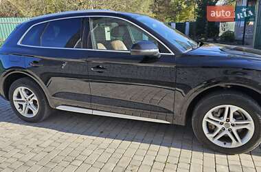 Позашляховик / Кросовер Audi Q5 2019 в 