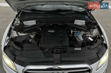Позашляховик / Кросовер Audi Q5 2013 в  фото 35 Позашляховик / Кросовер Audi Q5 2013 в