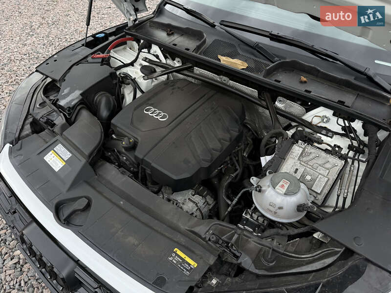 Позашляховик / Кросовер Audi Q5 2023 в Києві