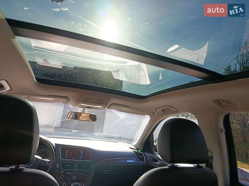 Позашляховик / Кросовер Audi Q5 2014 в Житомирі фото 14 Позашляховик / Кросовер Audi Q5 2014 в Житомирі
