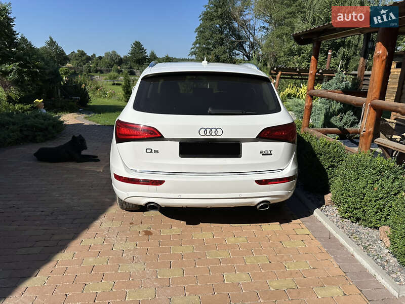 Позашляховик / Кросовер Audi Q5 2014 в Києві фото 33 Позашляховик / Кросовер Audi Q5 2014 в Києві