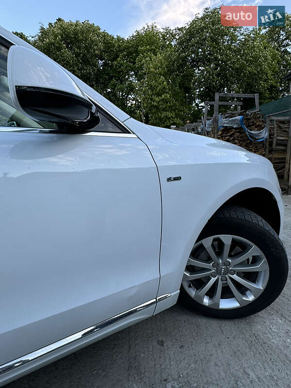 Внедорожник / Кроссовер Audi Q5 2016 в Львове фото 8 Внедорожник / Кроссовер Audi Q5 2016 в Львове