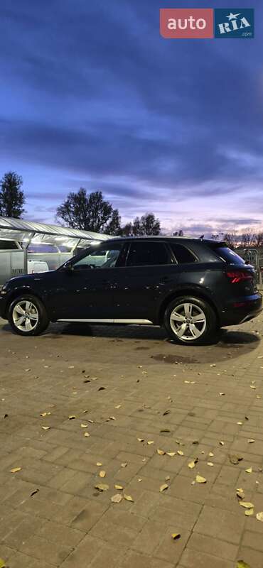 Позашляховик / Кросовер Audi Q5 2018 в Дніпрі фото 48 Позашляховик / Кросовер Audi Q5 2018 в Дніпрі