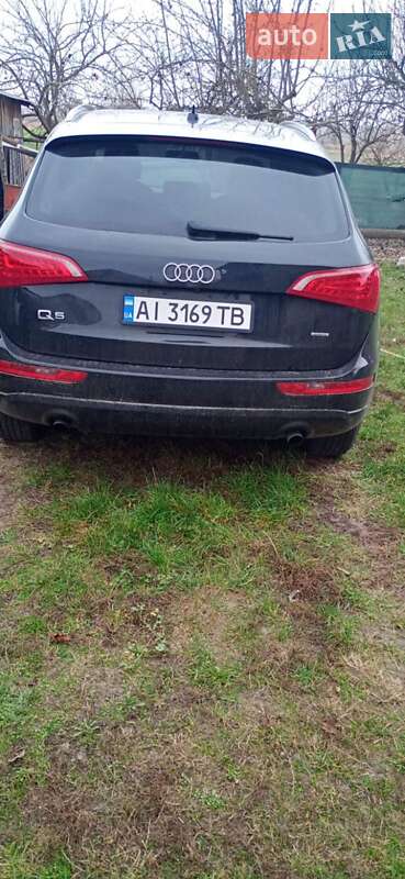 Audi Q5 2011 Audi Q5 2011