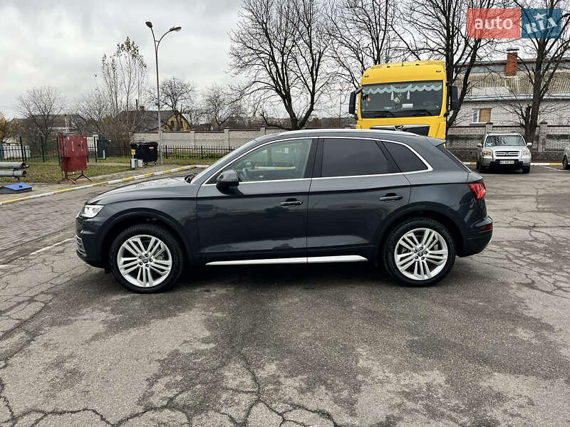 Внедорожник / Кроссовер Audi Q5 2019 в Василькове