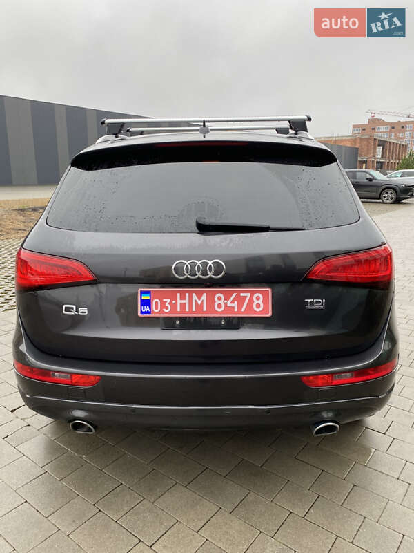 Внедорожник / Кроссовер Audi Q5 2013 в Хмельницком фото 4 Внедорожник / Кроссовер Audi Q5 2013 в Хмельницком