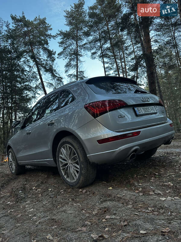 Внедорожник / Кроссовер Audi Q5 2016 в Полтаве фото 13 Внедорожник / Кроссовер Audi Q5 2016 в Полтаве