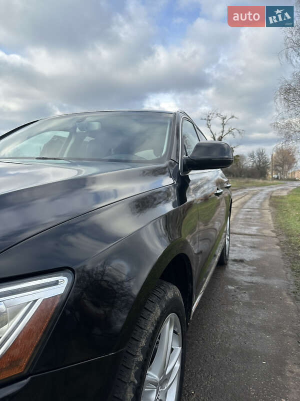 Внедорожник / Кроссовер Audi Q5 2016 в Сумах фото 20 Внедорожник / Кроссовер Audi Q5 2016 в Сумах