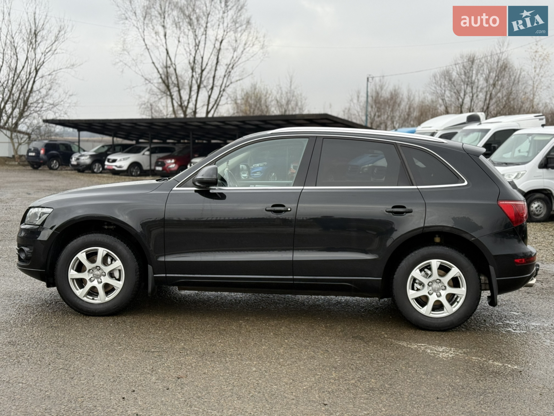 2011 Audi Q5 - мініатюра 12