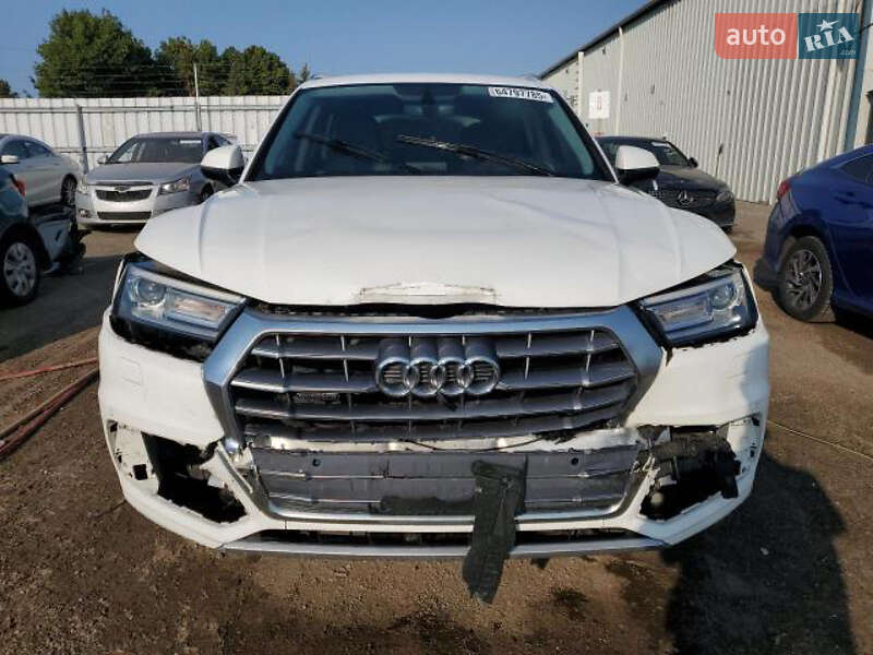 Внедорожник / Кроссовер Audi Q5 2019 в Стрые