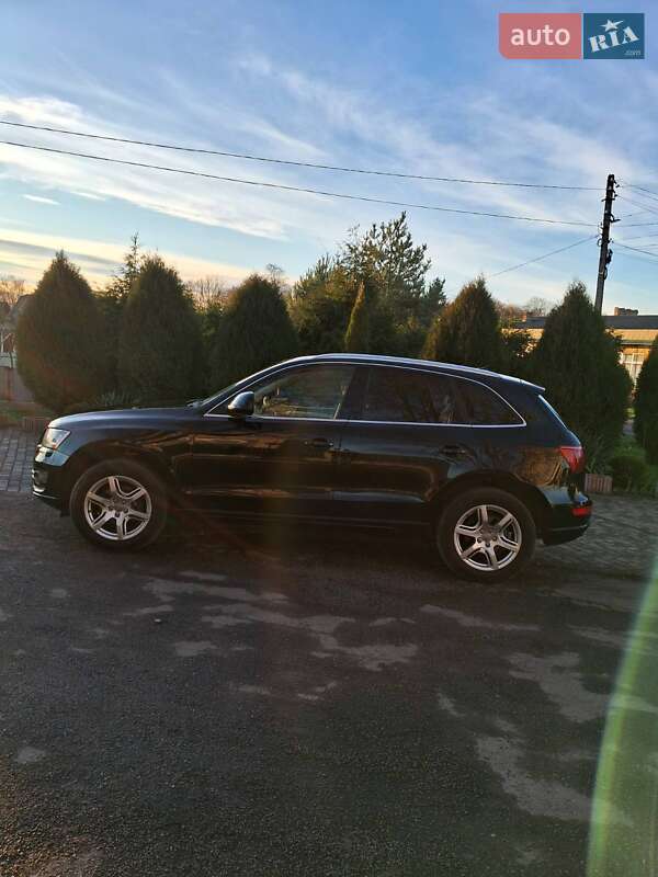 Внедорожник / Кроссовер Audi Q5 2011 в Черновцах фото 3 Внедорожник / Кроссовер Audi Q5 2011 в Черновцах