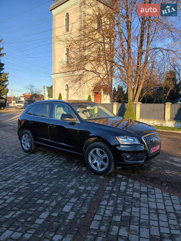 Внедорожник / Кроссовер Audi Q5 2011 в Черновцах фото 6 Внедорожник / Кроссовер Audi Q5 2011 в Черновцах