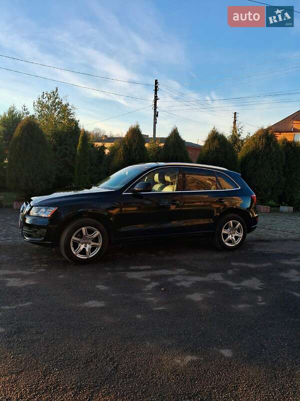 Внедорожник / Кроссовер Audi Q5 2011 в Черновцах фото 17 Внедорожник / Кроссовер Audi Q5 2011 в Черновцах