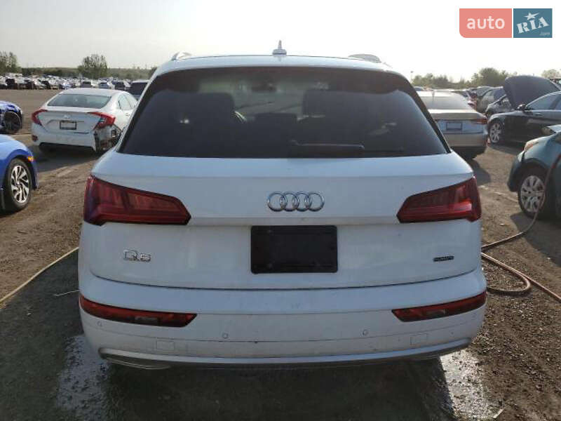 Позашляховик / Кросовер Audi Q5 2019 в Стрию