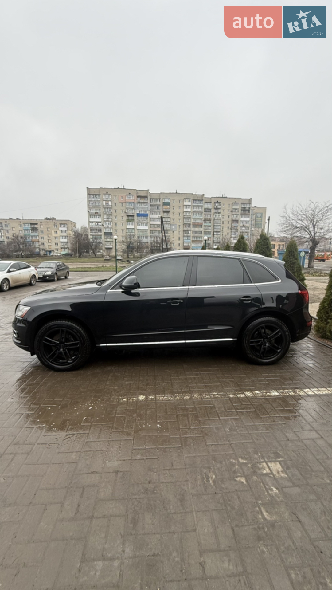 2013 Audi Q5 - мініатюра 4