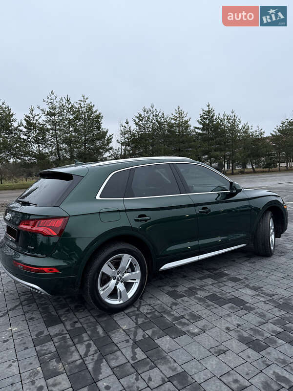 Внедорожник / Кроссовер Audi Q5 2019 в Самборе