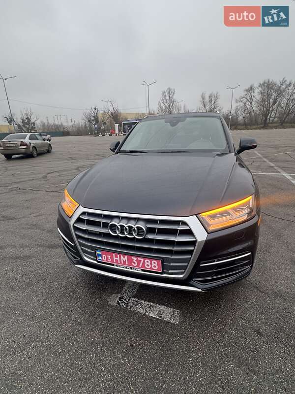 Внедорожник / Кроссовер Audi Q5 2019 в Киеве фото 13 Внедорожник / Кроссовер Audi Q5 2019 в Киеве