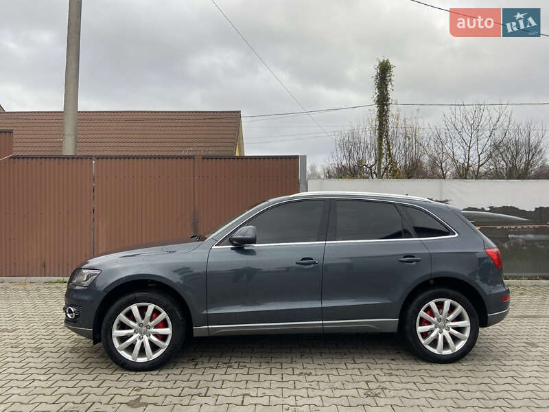 Внедорожник / Кроссовер Audi Q5 2009 в Новоселице