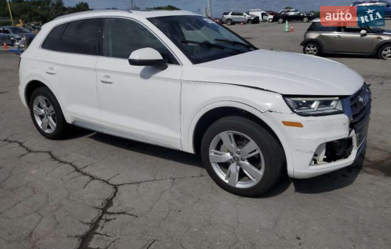 Внедорожник / Кроссовер Audi Q5 2017 в Львове фото 26 Внедорожник / Кроссовер Audi Q5 2017 в Львове