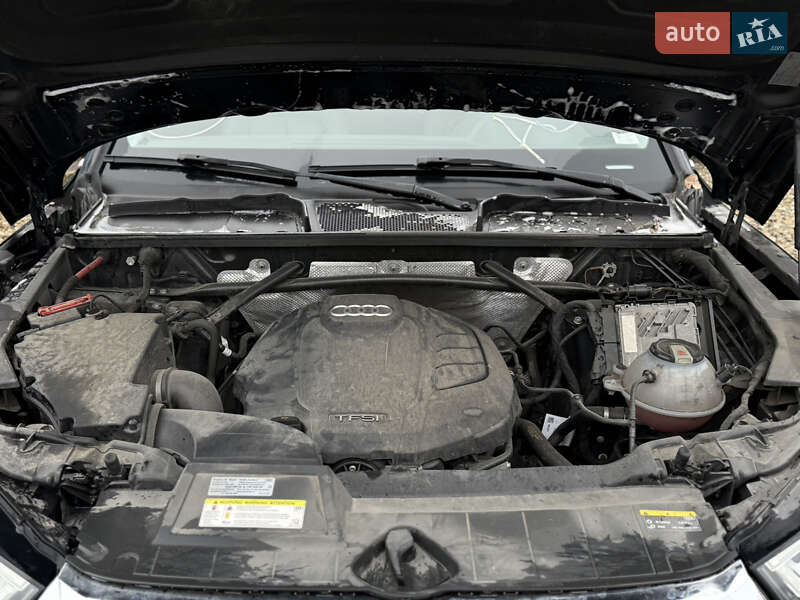 Внедорожник / Кроссовер Audi Q5 2019 в Стрые фото 27 Внедорожник / Кроссовер Audi Q5 2019 в Стрые