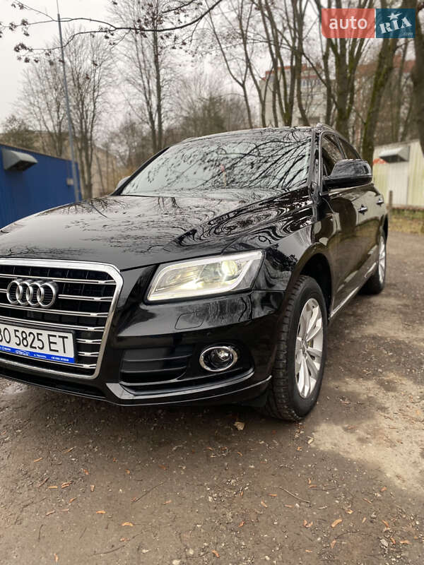 Внедорожник / Кроссовер Audi Q5 2015 в Тернополе фото 13 Внедорожник / Кроссовер Audi Q5 2015 в Тернополе