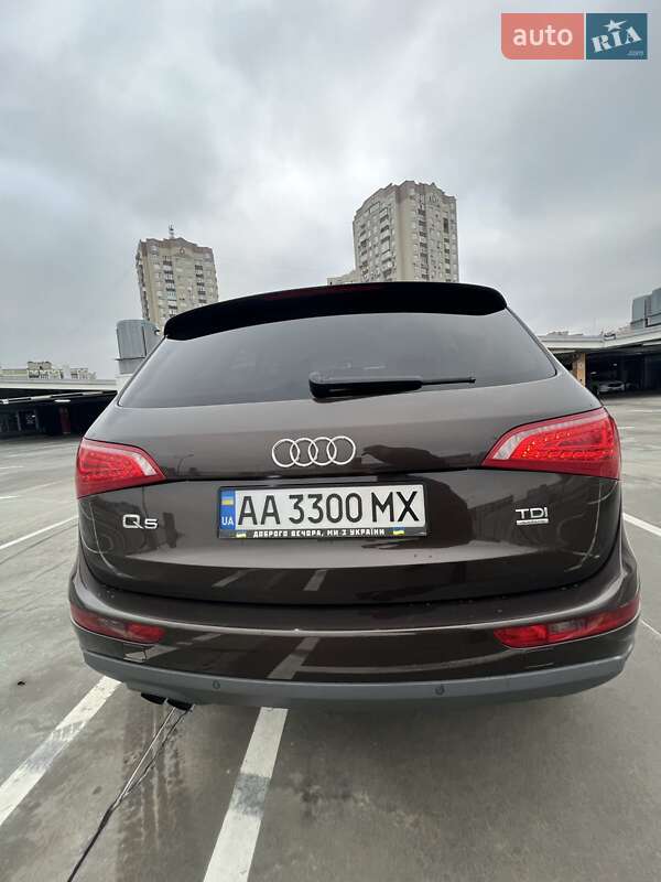 Внедорожник / Кроссовер Audi Q5 2011 в Киеве фото 12 Внедорожник / Кроссовер Audi Q5 2011 в Киеве