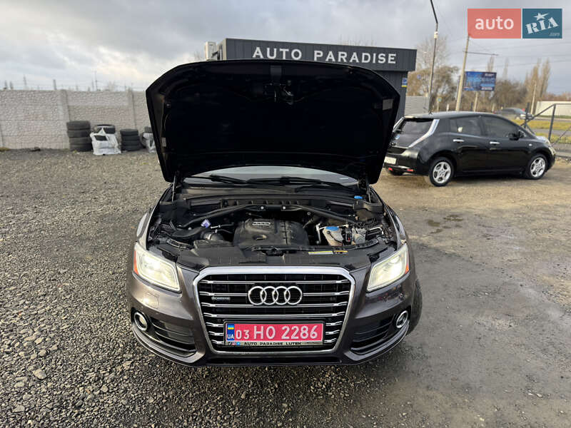 Внедорожник / Кроссовер Audi Q5 2014 в Луцке фото 11 Внедорожник / Кроссовер Audi Q5 2014 в Луцке