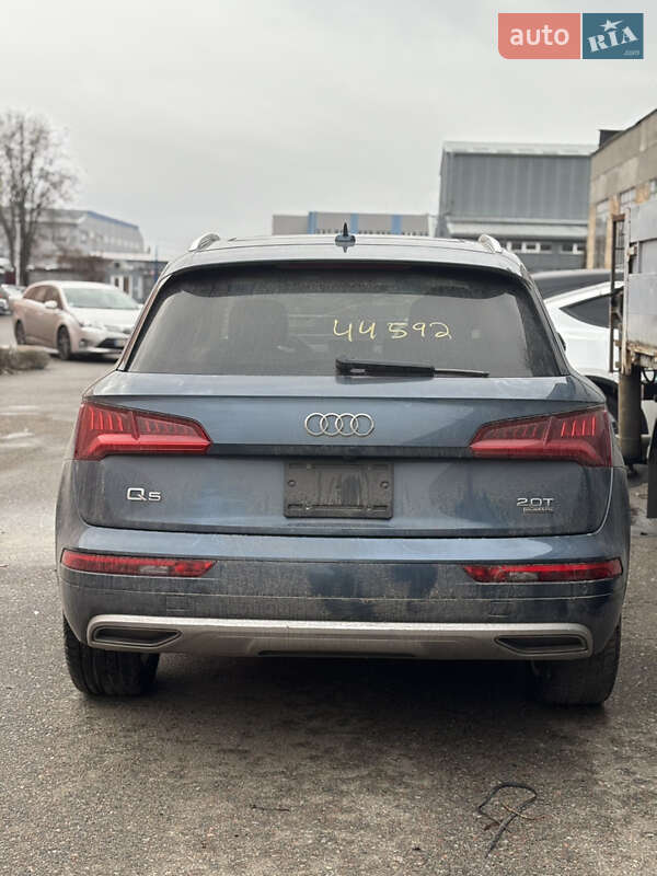 Внедорожник / Кроссовер Audi Q5 2017 в Киеве фото 5 Внедорожник / Кроссовер Audi Q5 2017 в Киеве