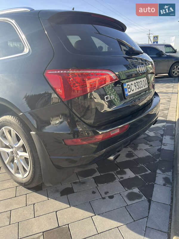 Внедорожник / Кроссовер Audi Q5 2011 в Городке фото 6 Внедорожник / Кроссовер Audi Q5 2011 в Городке