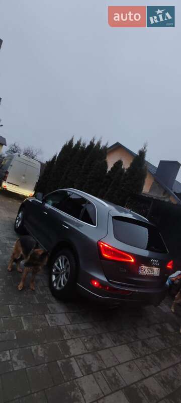 Позашляховик / Кросовер Audi Q5 2014 в Рівному фото 6 Позашляховик / Кросовер Audi Q5 2014 в Рівному