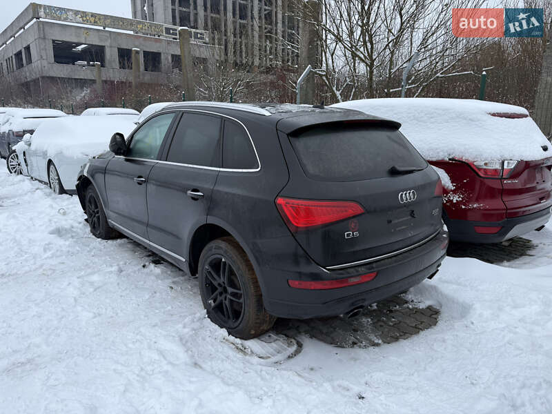 2016 Audi Q5, VIN WA1L2AFP2GA035378:plate — фото 1 (autoria)