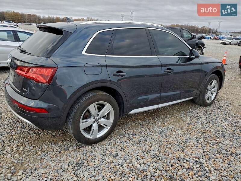 Внедорожник / Кроссовер Audi Q5 2019 в Ивано-Франковске