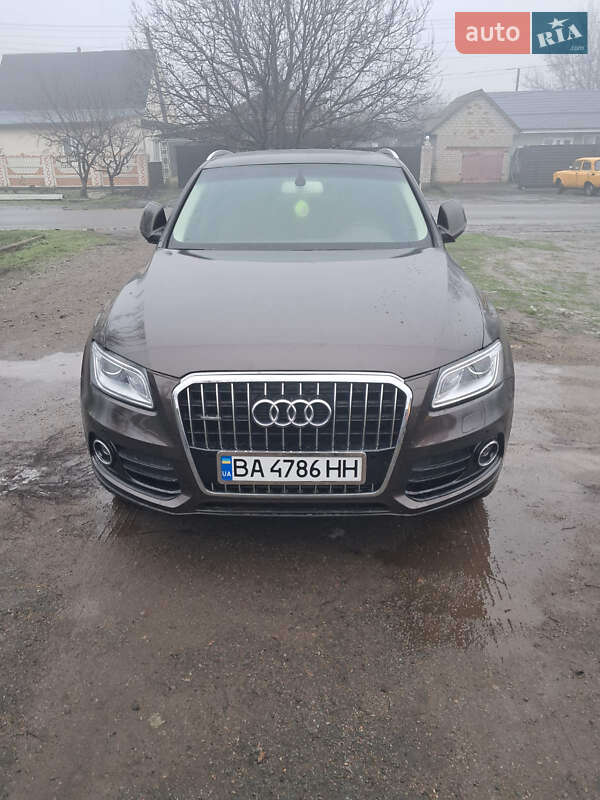 Внедорожник / Кроссовер Audi Q5 2013 в Кривом Озере