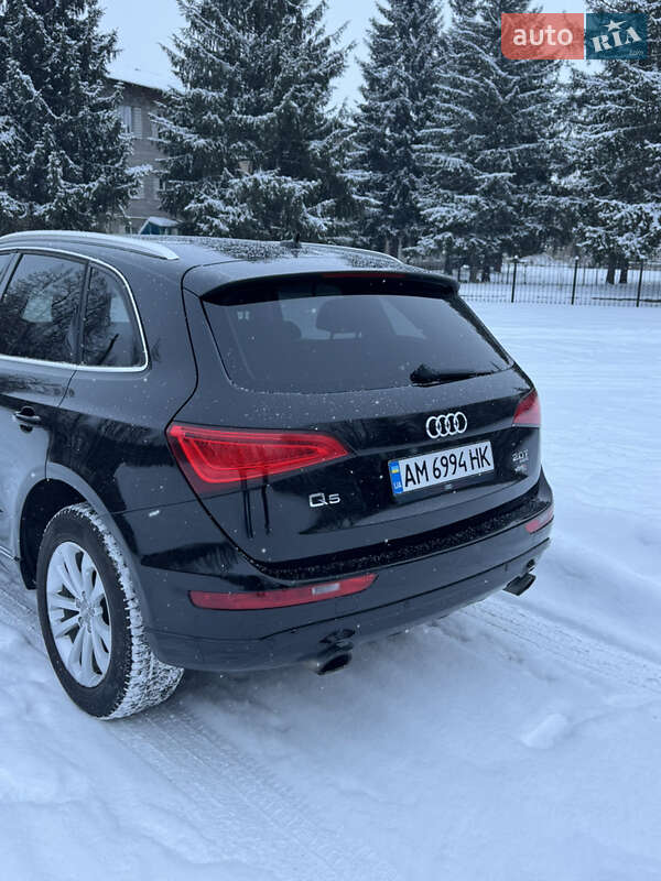 Внедорожник / Кроссовер Audi Q5 2013 в Бердичеве фото 14 Внедорожник / Кроссовер Audi Q5 2013 в Бердичеве