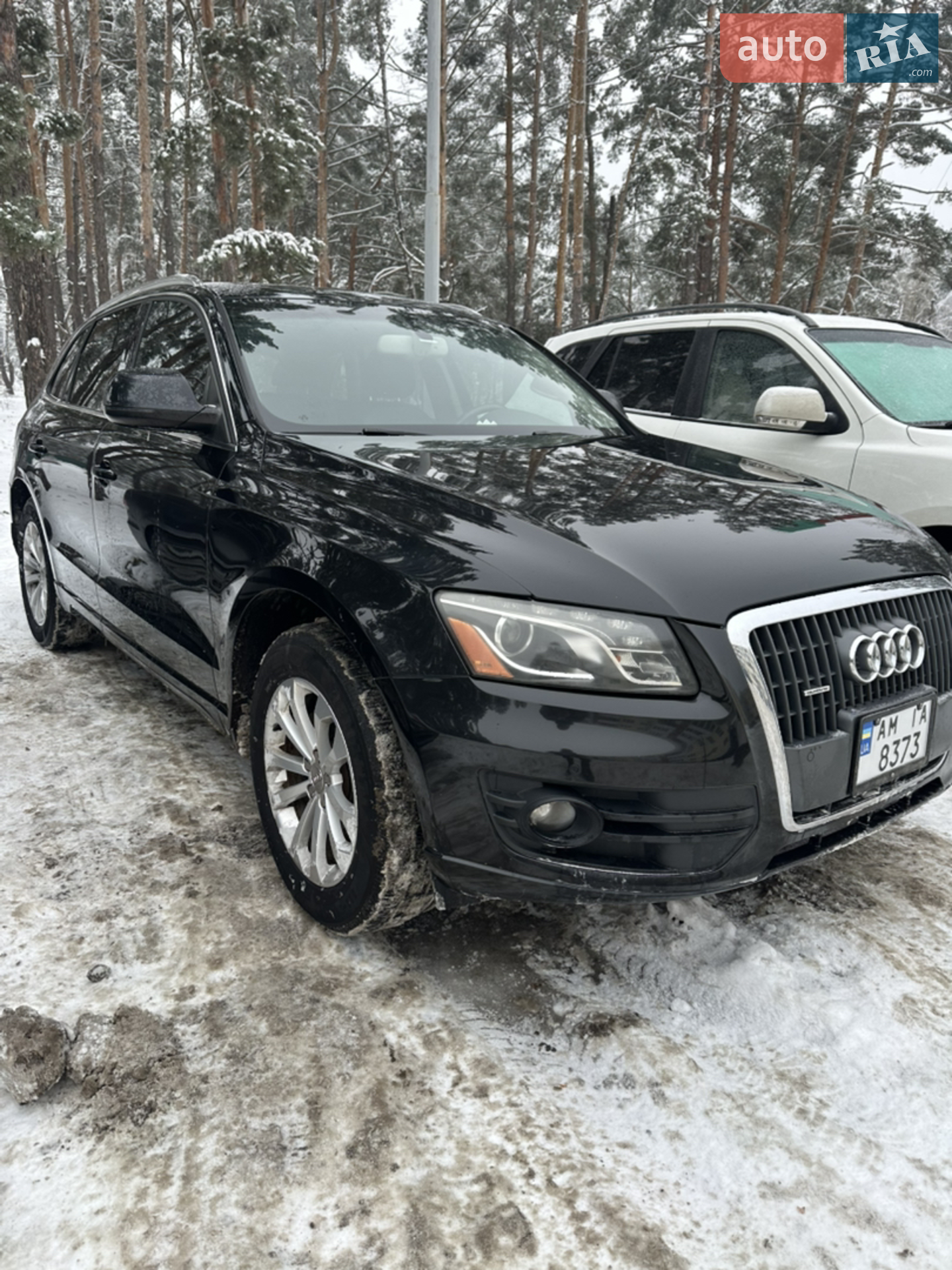 2011 Audi Q5 - мініатюра 4