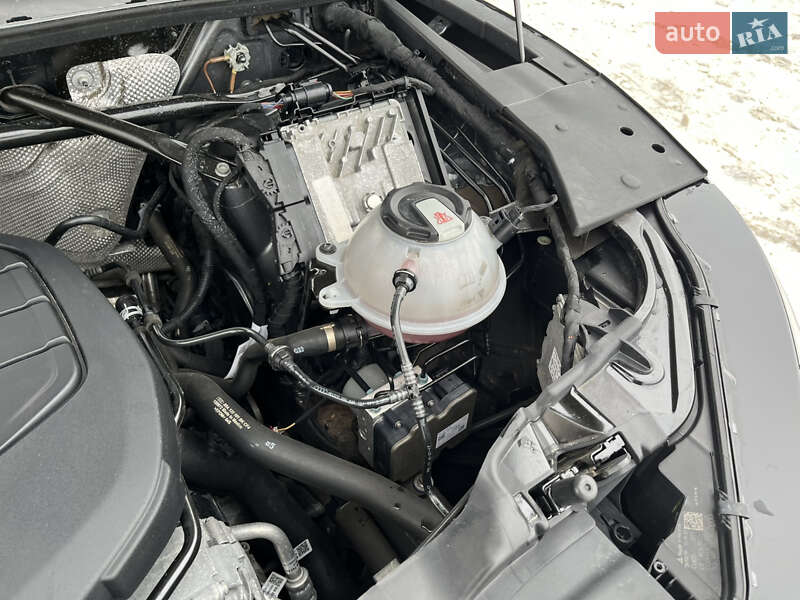 Внедорожник / Кроссовер Audi Q5 2019 в Дубно фото 30 Внедорожник / Кроссовер Audi Q5 2019 в Дубно