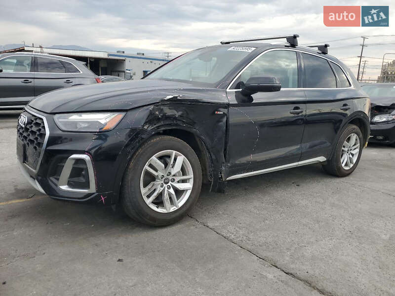 Внедорожник / Кроссовер Audi Q5 2023 в Бердичеве