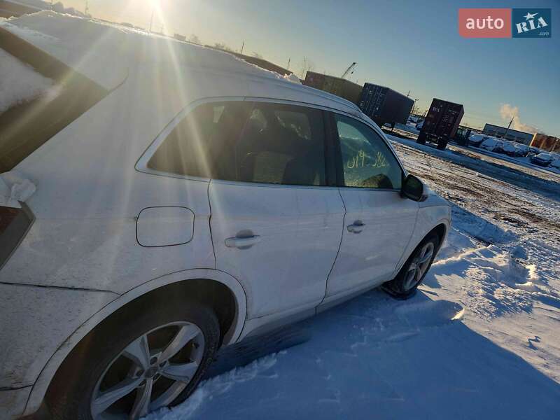 Позашляховик / Кросовер Audi Q5 2020 в Києві фото 15 Позашляховик / Кросовер Audi Q5 2020 в Києві