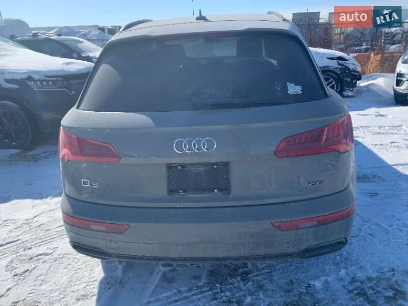 Внедорожник / Кроссовер Audi Q5 2019 в Ровно фото 43 Внедорожник / Кроссовер Audi Q5 2019 в Ровно