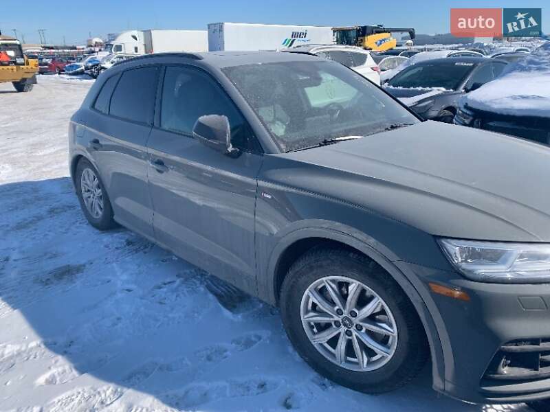 Внедорожник / Кроссовер Audi Q5 2019 в Ровно фото 53 Внедорожник / Кроссовер Audi Q5 2019 в Ровно