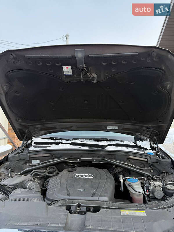 Внедорожник / Кроссовер Audi Q5 2011 в Вышгороде фото 28 Внедорожник / Кроссовер Audi Q5 2011 в Вышгороде