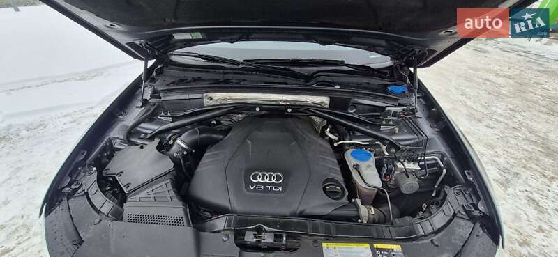 Внедорожник / Кроссовер Audi Q5 2015 в Киеве фото 11 Внедорожник / Кроссовер Audi Q5 2015 в Киеве