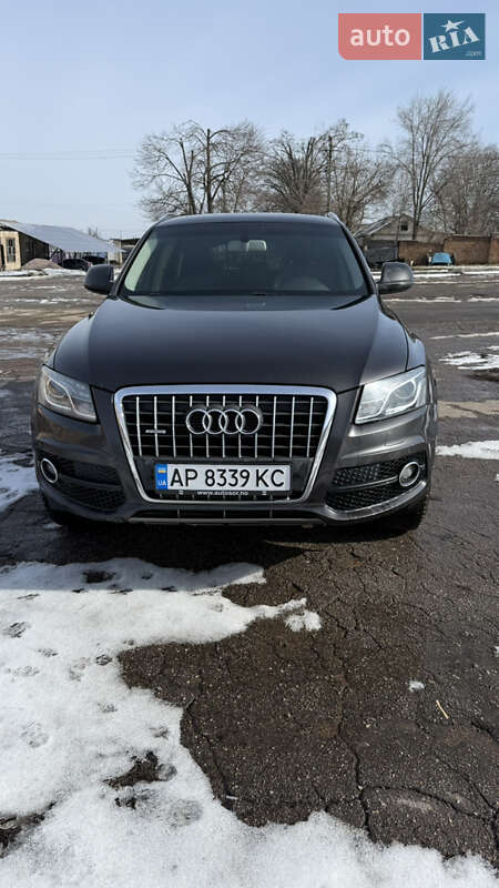 2009 Audi Q5, VIN WAUZZZ8R8AA045054:plate — фото 1 (autoria)