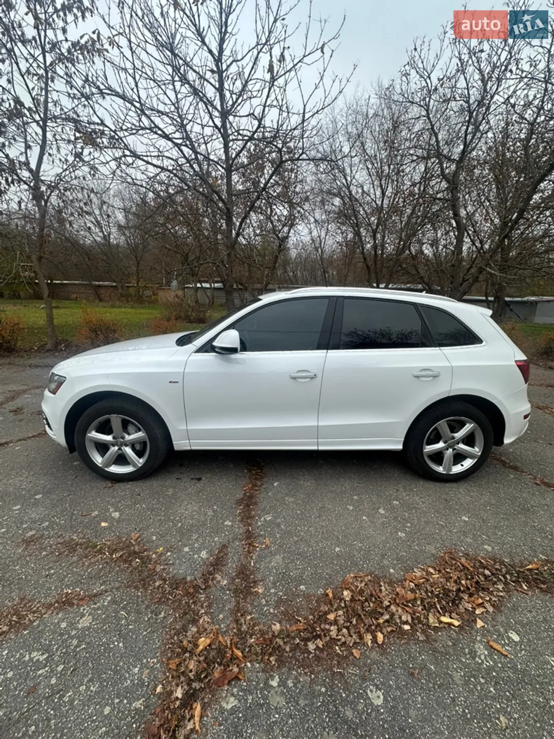 2016 Audi Q5 - мініатюра 10