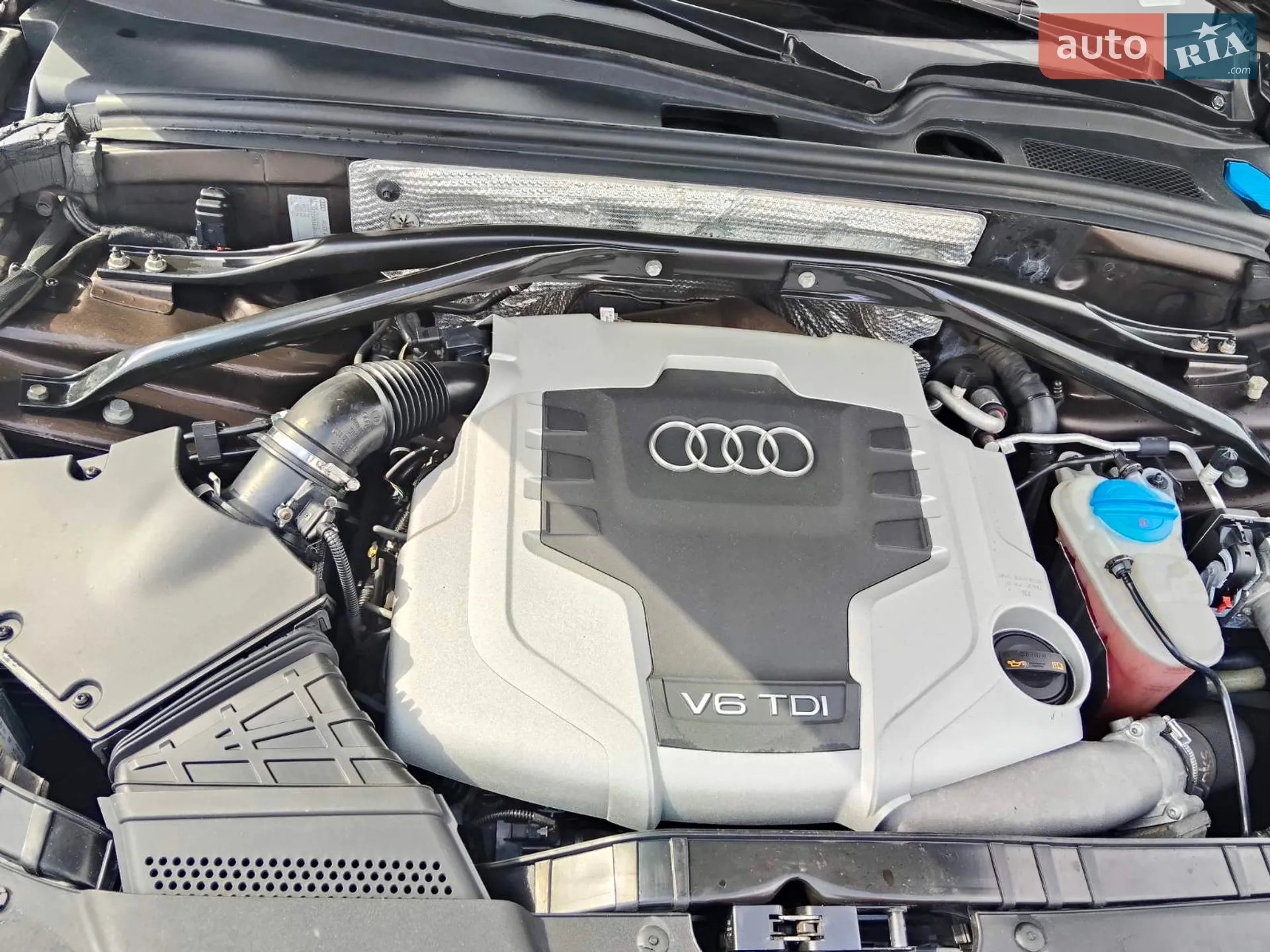 2010 Audi Q5 - мініатюра 11