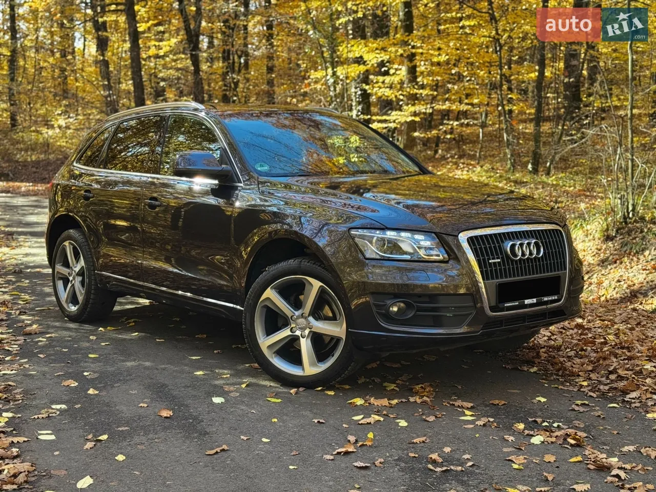 2011 Audi Q5 - мініатюра 17