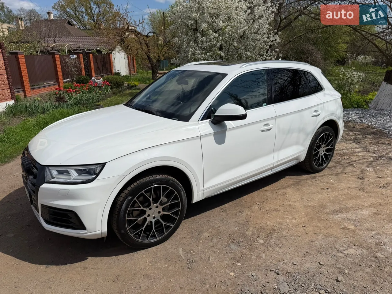 2019 Audi Q5 - мініатюра 19