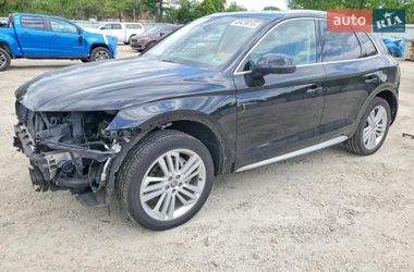 Внедорожник / Кроссовер Audi Q5 2019 в Киеве